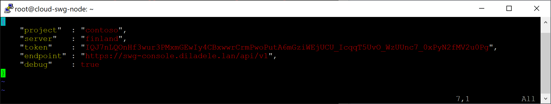 Config JSON