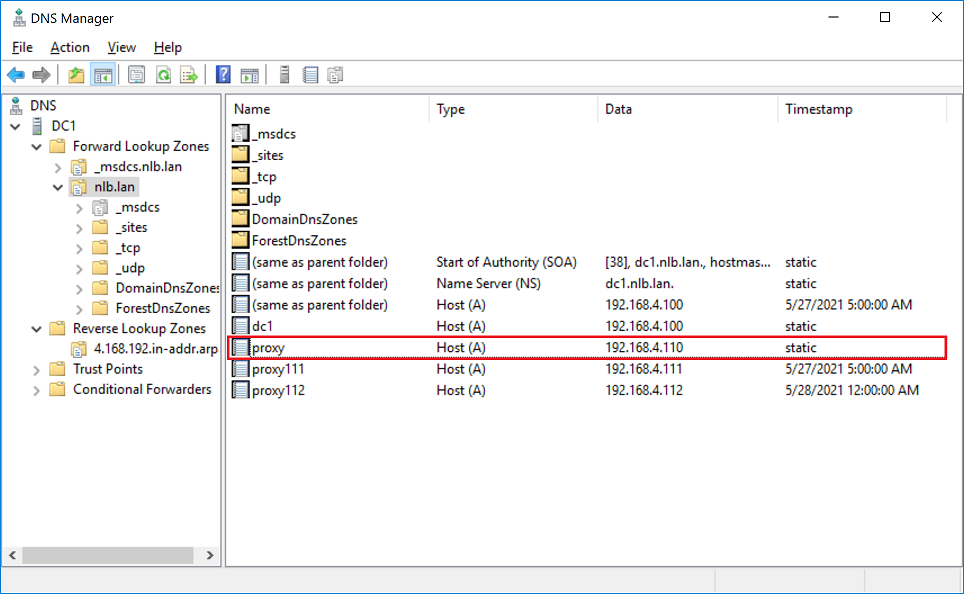 Create DNS A Record