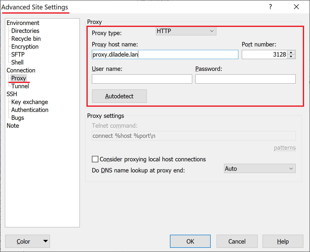 WinSCP Proxy Connection