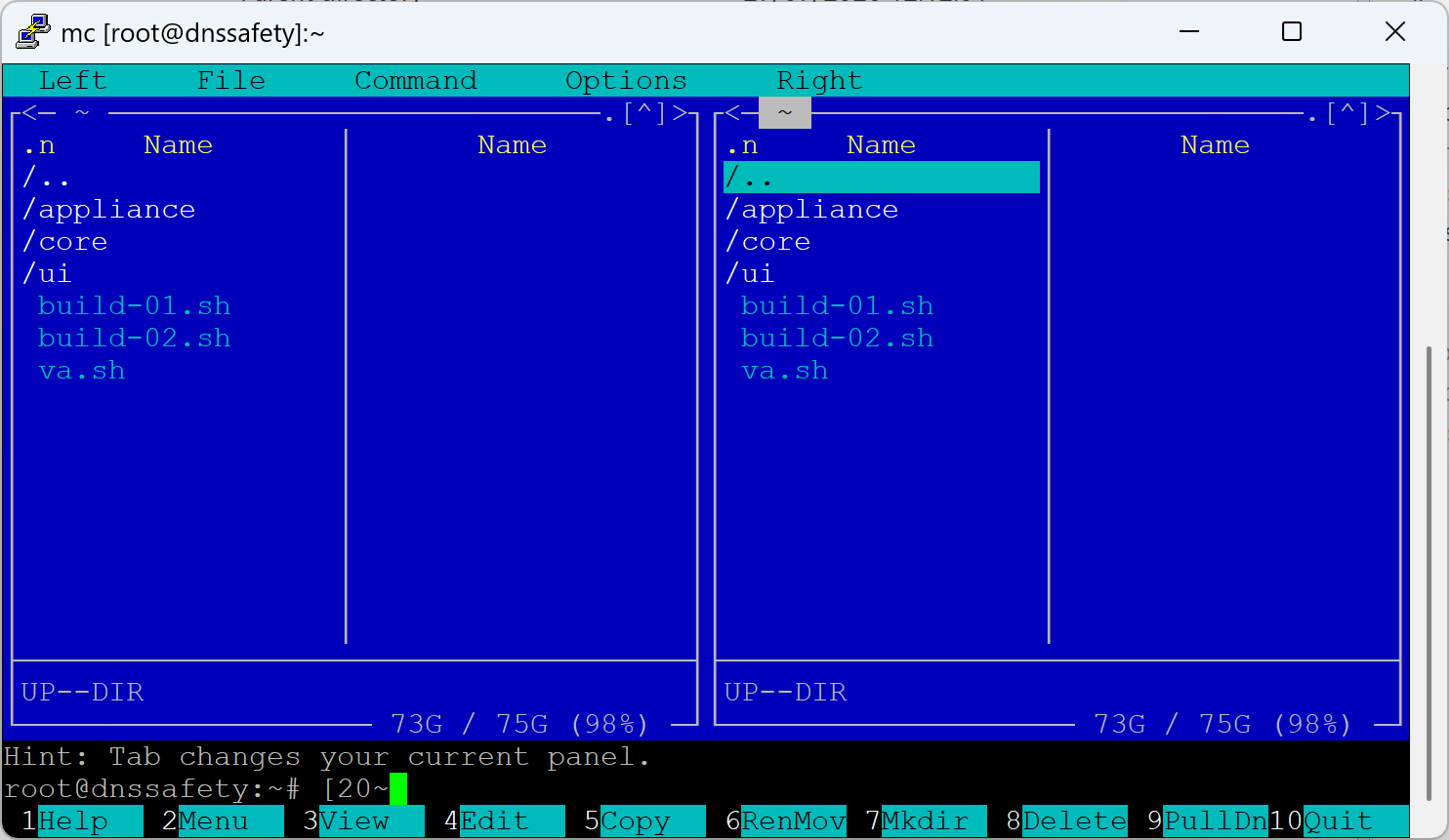 DNS Safety Installation Scripts