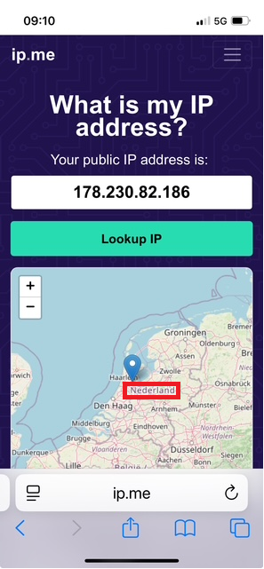 Public IP Visible